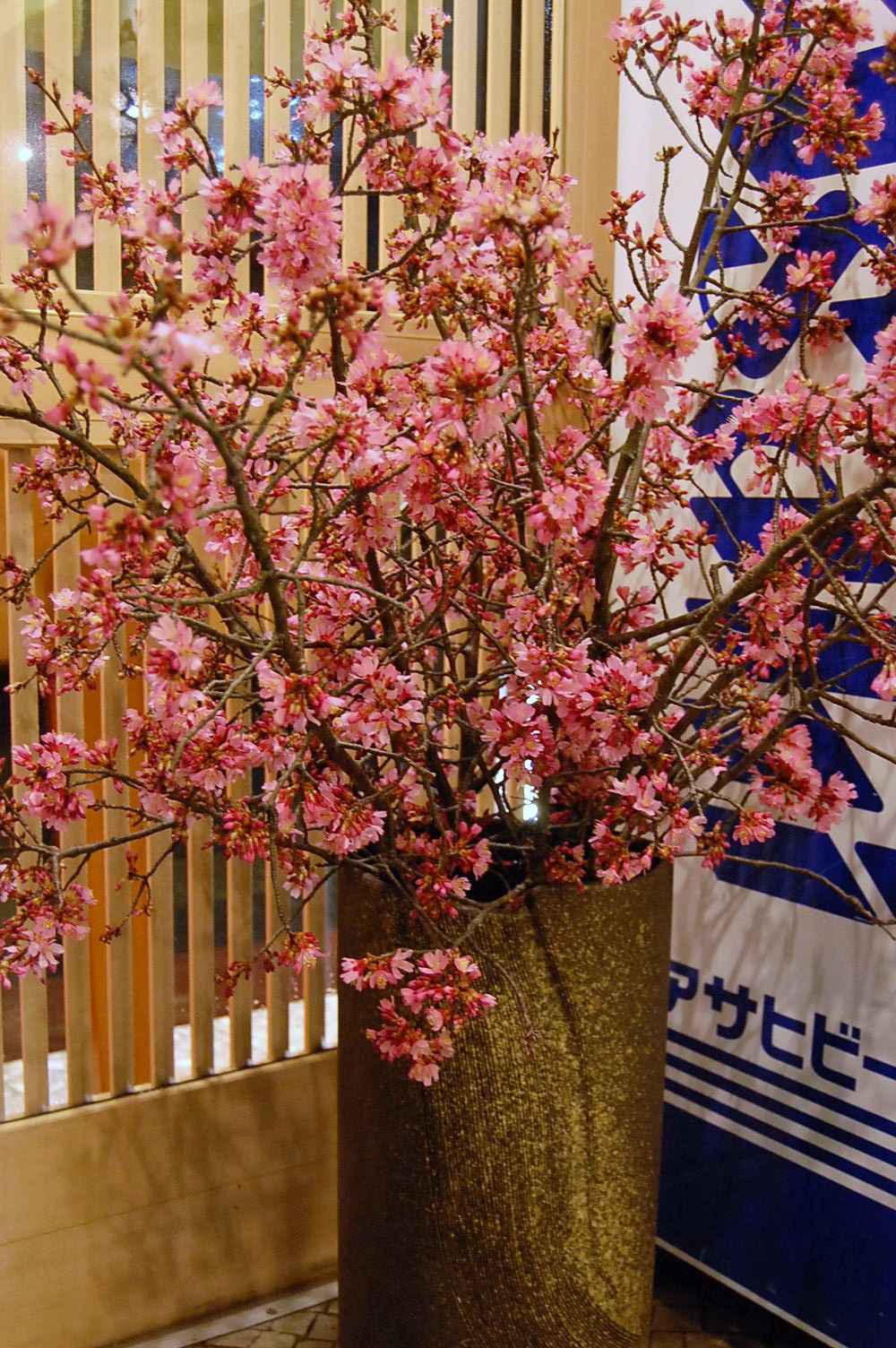 こめ桜 旬彩 つくし